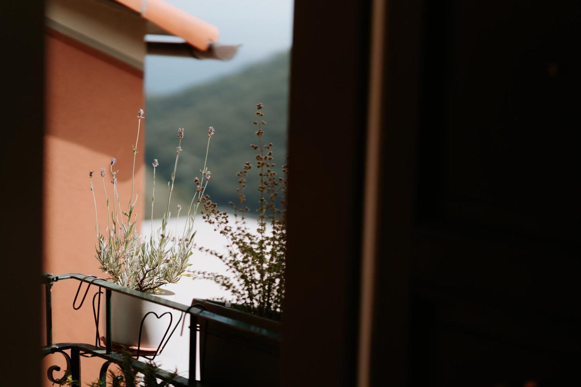 Il Castagno Holiday Home Teriasca ภายนอก รูปภาพ